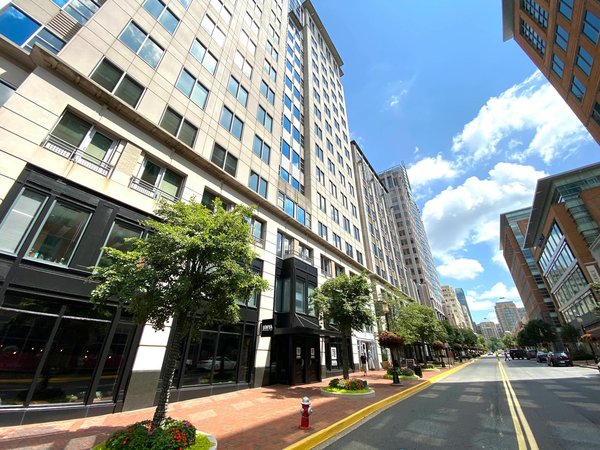 Your Guide to Achieving Organic Livestock Farmer Certification in the UK by 2023